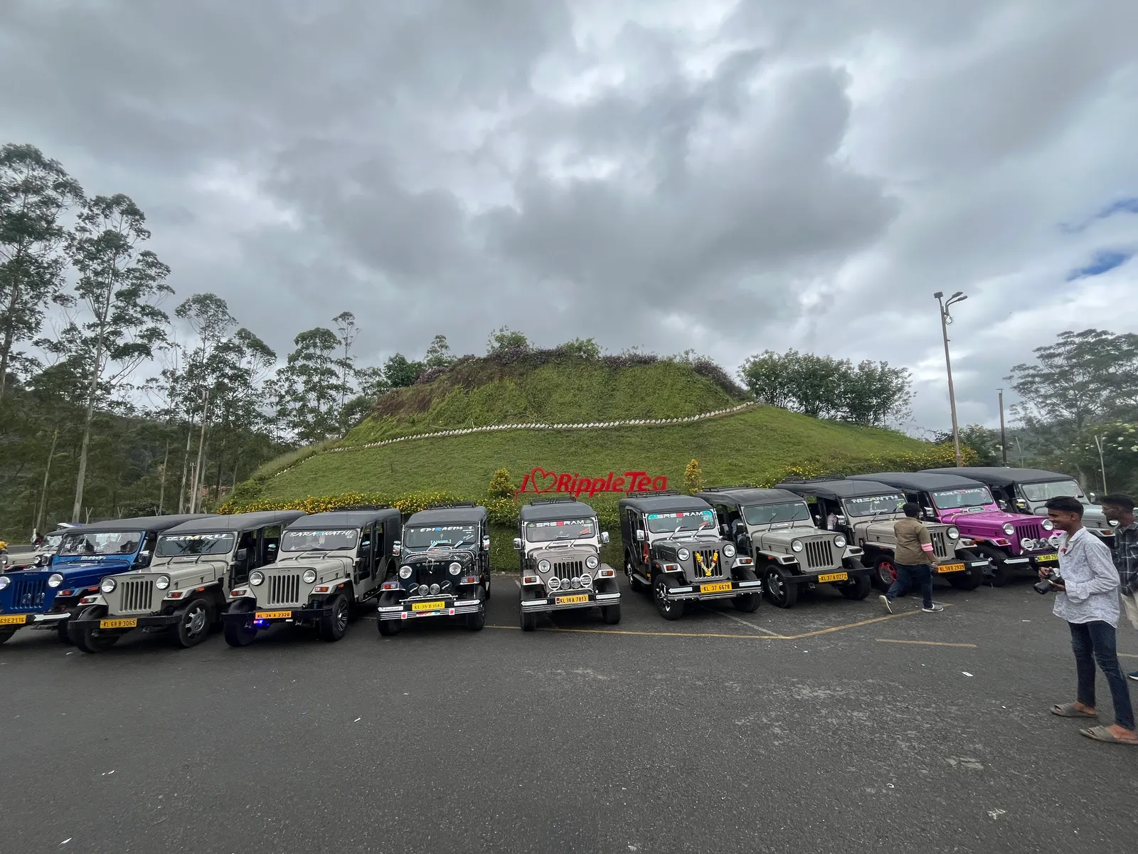 Group tours among the hills of Munnar