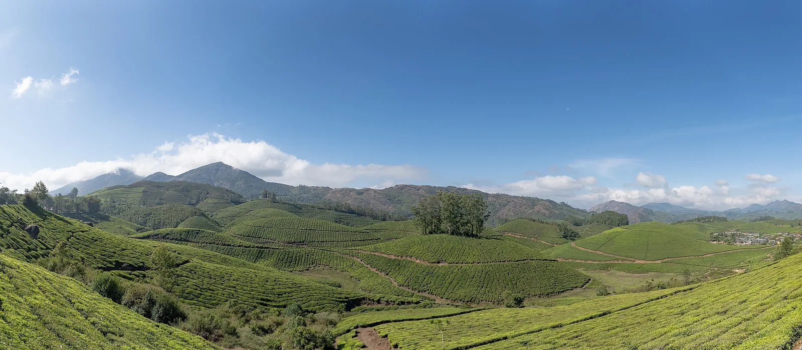 Tea plantations across the hills of Munnar, Kerala